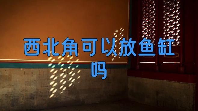 客廳西北角放魚缸好不好 客廳西北角放魚缸好不好 龍魚百科 第7張