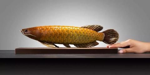 細店鋪是不是不能養(yǎng)金龍魚（細店鋪可以養(yǎng)金龍魚嗎）