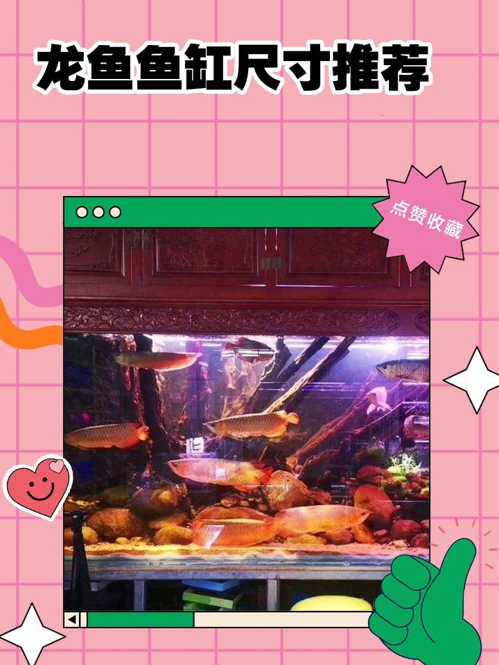90缸可以養(yǎng)龍魚嗎