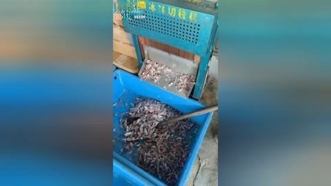 龍魚下蛋是什么兆頭（關(guān)于龍魚下蛋的兆頭，我們可以得出以下結(jié)論以下結(jié)論）