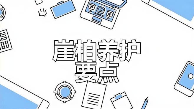 崖柏木龍魚擺件如何保養？