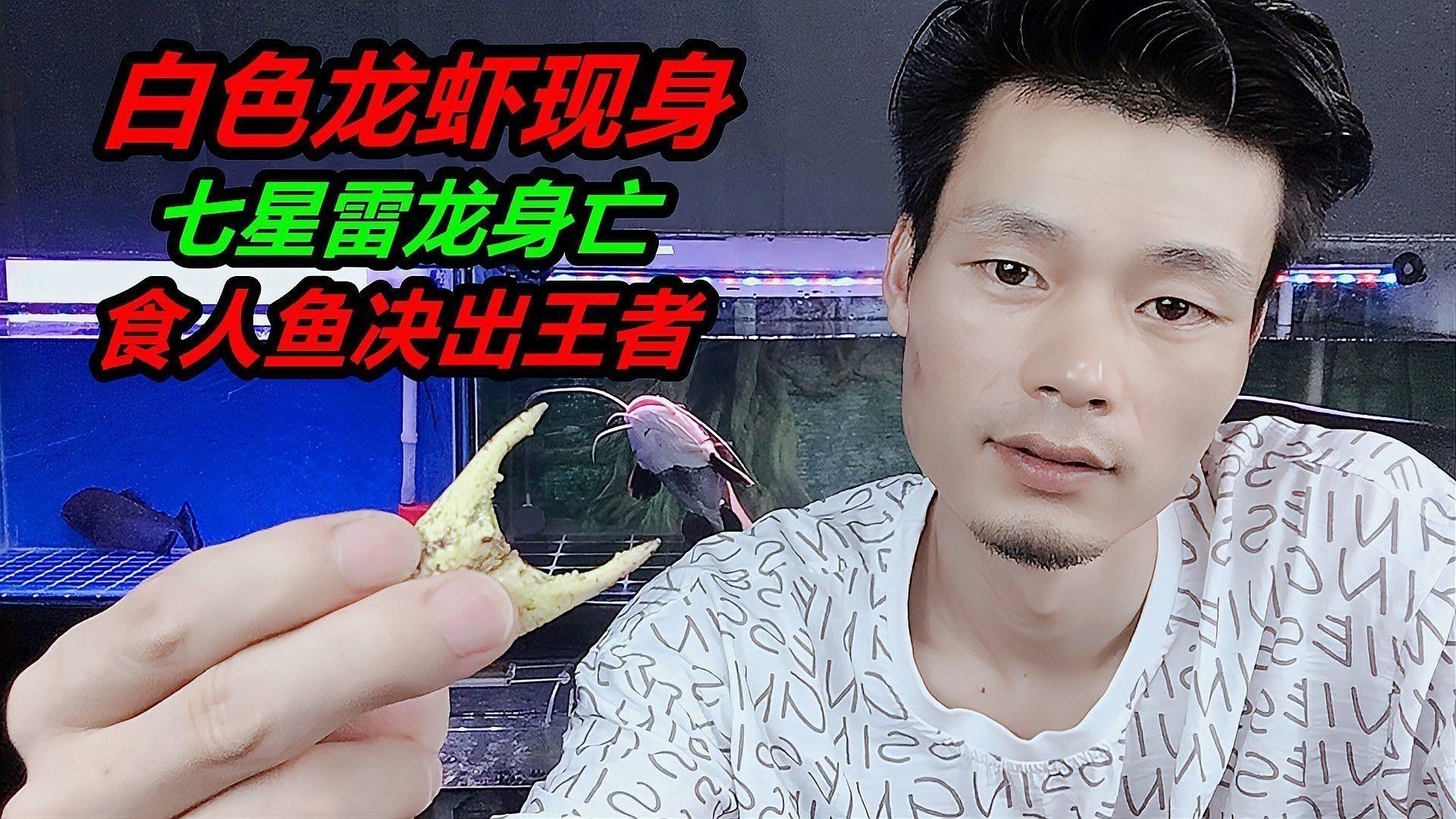 雷龍魚趴缸底是什么病因呢