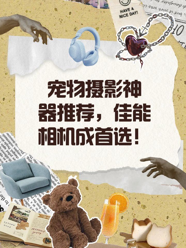 推薦幾款適合拍攝紅龍魚的設(shè)備