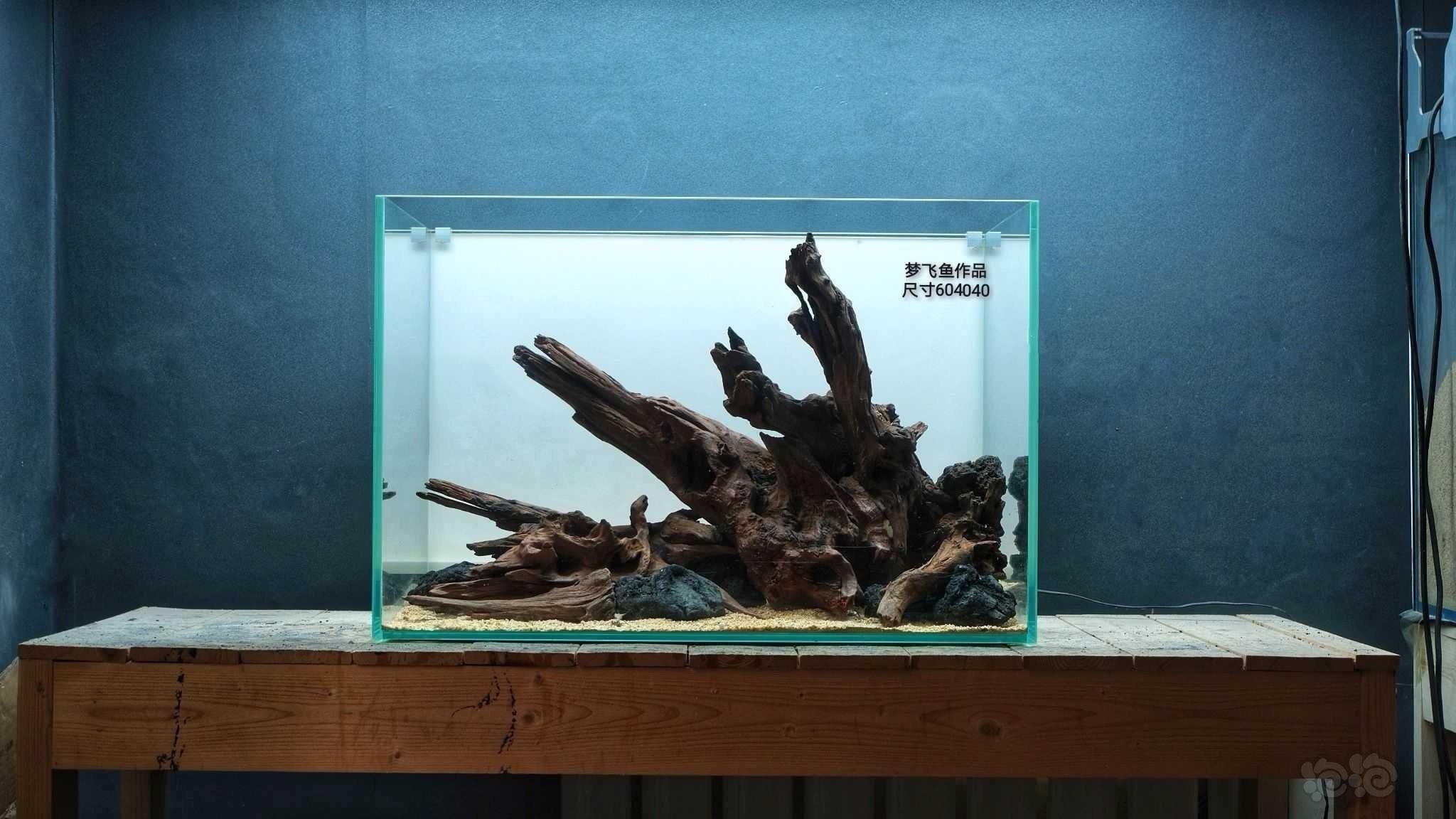 龍魚缸沉木造景圖：龍魚缸沉木造景圖片 龍魚缸沉木造景圖：龍魚缸沉木造景圖片 龍魚百科 第2張