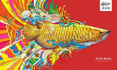 金龍魚墻繪：金龍魚墻繪是什么？