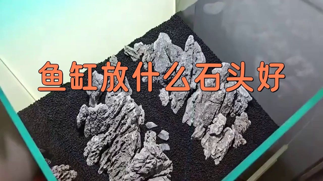 養銀龍魚缸底部放什么好
