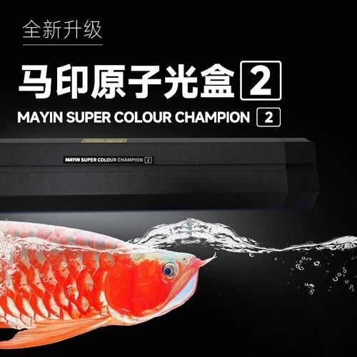 馬印原子光盒二代詳細參數 馬印原子光盒二代詳細參數 龍魚百科 第4張