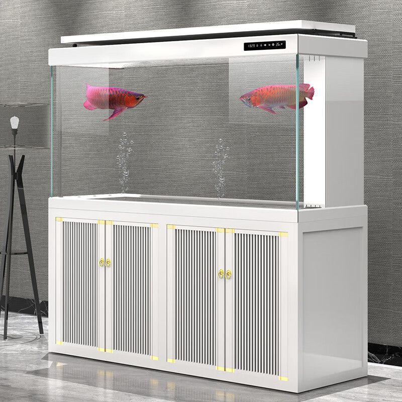 龍魚黑缸制作：龍魚黑缸制作過程及注意事項 龍魚黑缸制作：龍魚黑缸制作過程及注意事項 龍魚百科 第4張