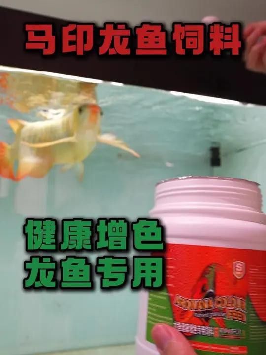 給我推薦一些過背金龍魚的增色飼料