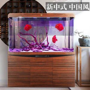 龍魚混養適應期(龍魚混養保持兩個月左右不打架才能認為混養成功) 龍魚百科 第1張 龍魚混養適應期(龍魚混養保持兩個月左右不打架才能認為混養成功) 龍魚混養適應期(龍魚混養保持兩個月左右不打架才能認為混養成功) 龍魚百科 第1張