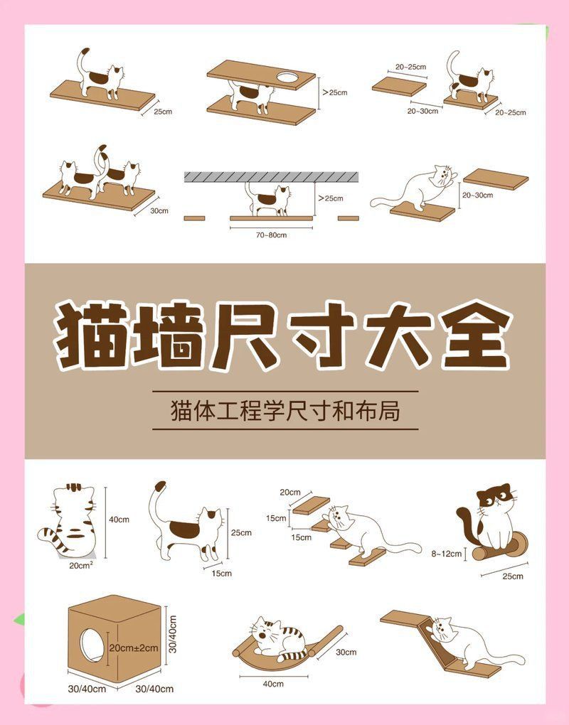 共養貓和龍貓需要多大的空間？