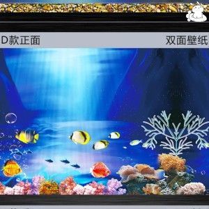 金龍魚(yú)魚(yú)缸背景底色選擇 金龍魚(yú)魚(yú)缸背景底色選擇 龍魚(yú)百科 第1張