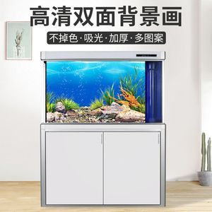 金龍魚(yú)魚(yú)缸背景底色選擇 金龍魚(yú)魚(yú)缸背景底色選擇 龍魚(yú)百科 第3張