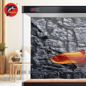 金龍魚(yú)魚(yú)缸背景底色選擇 金龍魚(yú)魚(yú)缸背景底色選擇 龍魚(yú)百科 第2張