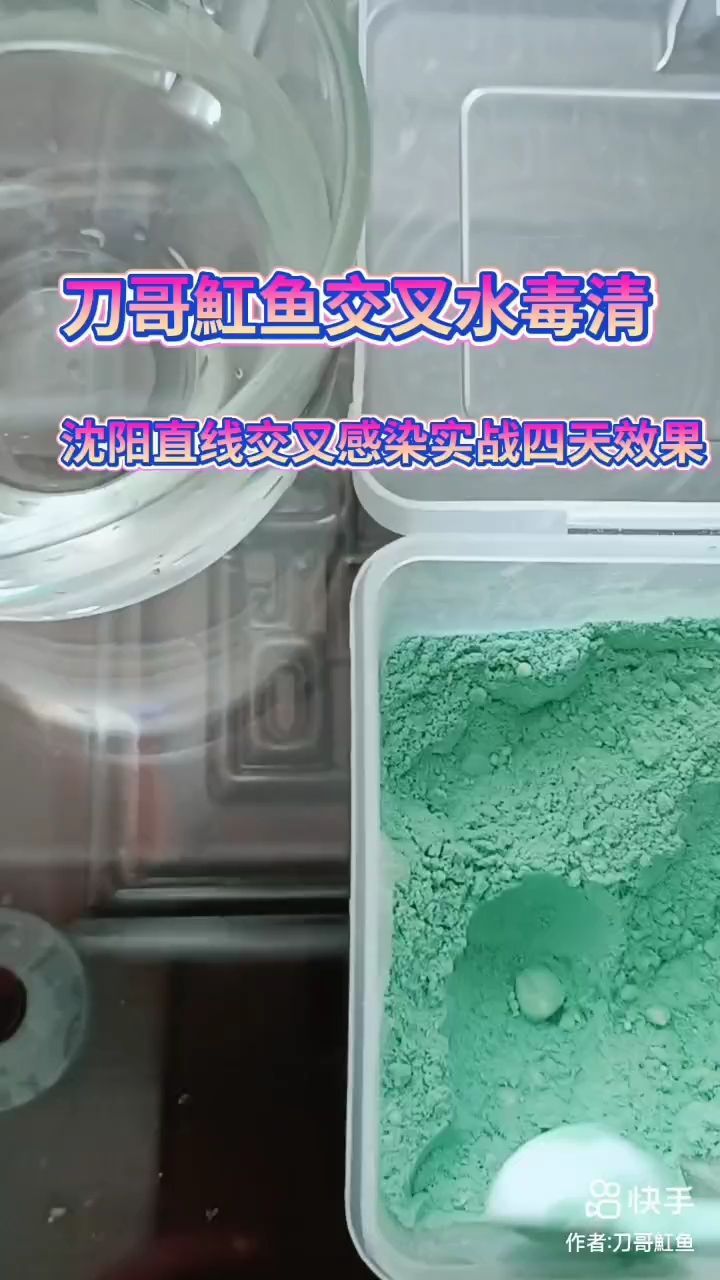 太湖龍魚最大可以長多大：太湖龍魚在理想環(huán)境下，太湖龍魚最大可以長多大？