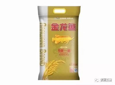 24k金頭金龍魚和金頭金龍魚的區別：24k金,24k金和金頭金龍魚的區別