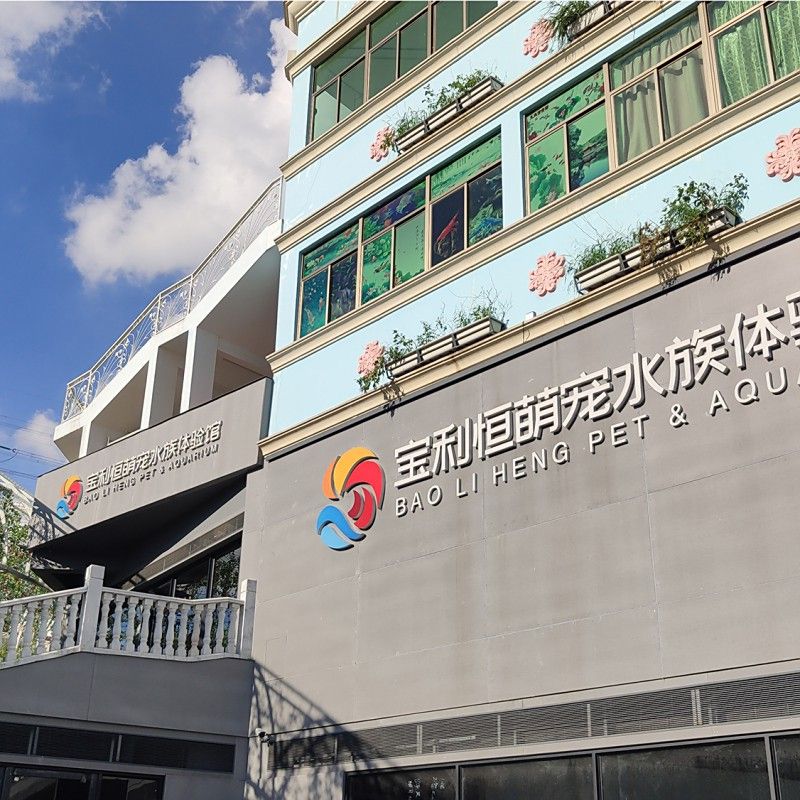 深圳龍魚市場地址查詢電話 深圳龍魚市場地址查詢電話 龍魚百科 第1張