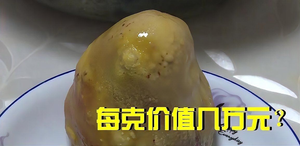 鑒定雞寶最簡(jiǎn)單的方法 鑒定雞寶最簡(jiǎn)單的方法 龍魚百科 第5張