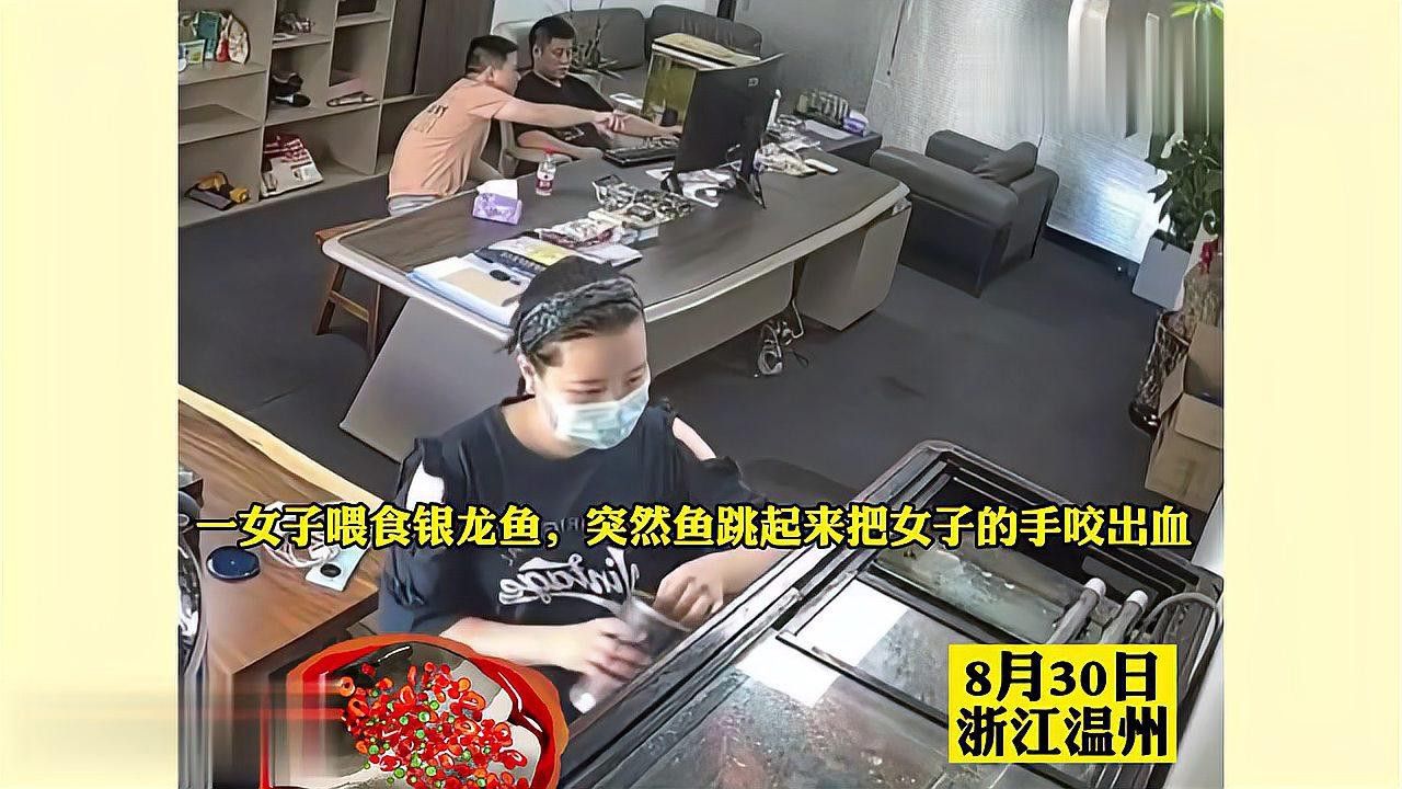 金魚和銀龍魚能混養嗎圖片