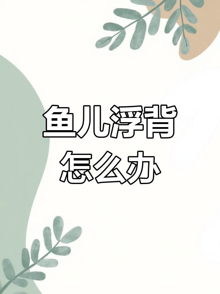 龍魚浮背有哪些癥狀 龍魚浮背有哪些癥狀 龍魚百科 第2張