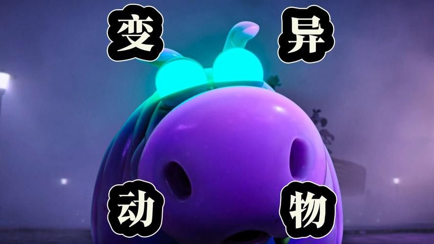 好看的雷龍魚圖片
