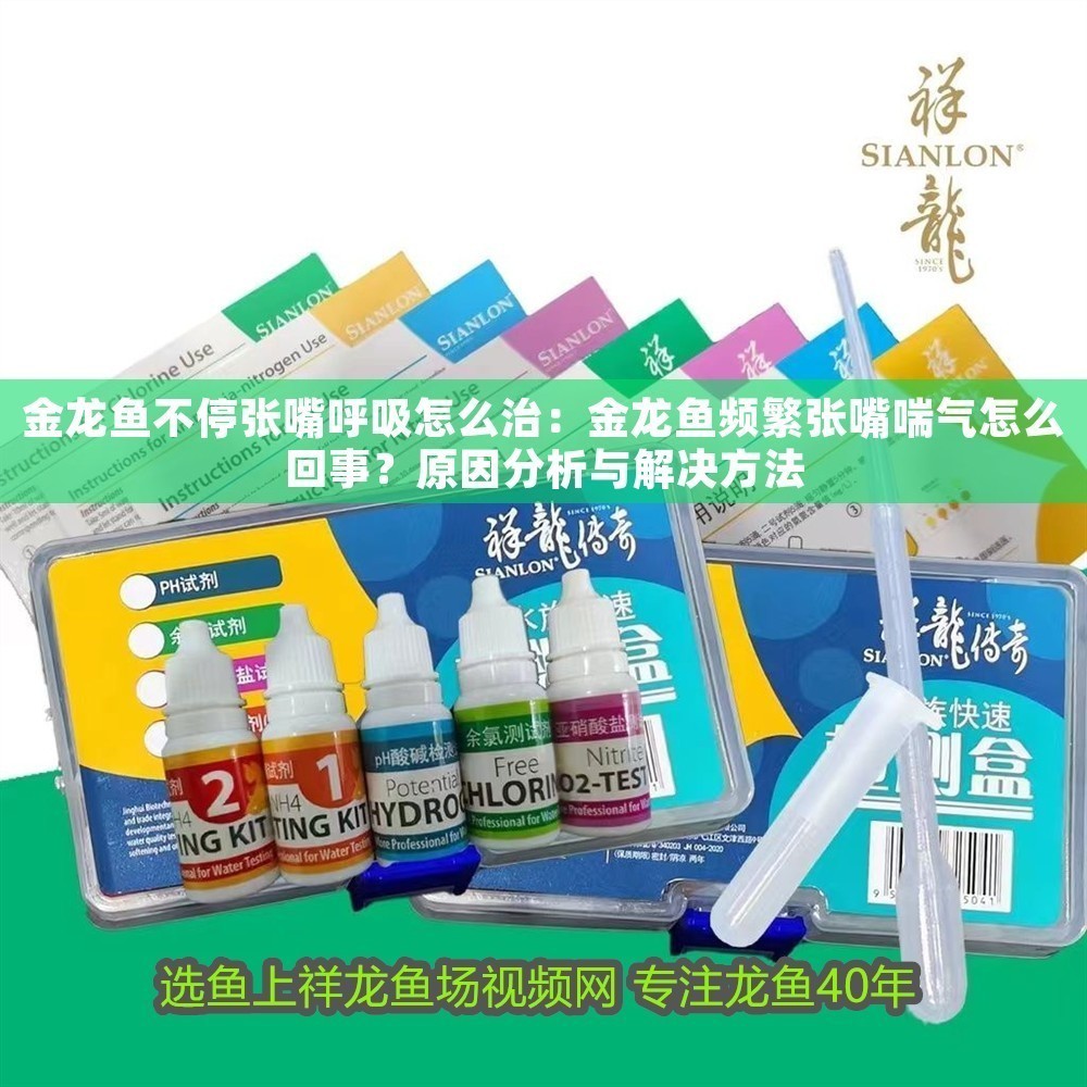 金龍魚不停張嘴呼吸怎么治：金龍魚頻繁張嘴喘氣怎么回事？原因分析與解決方法