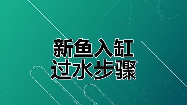 補新魚時需要注意哪些事項？