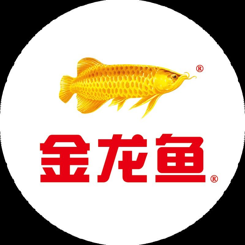 金龍魚加盟店官網(wǎng)
