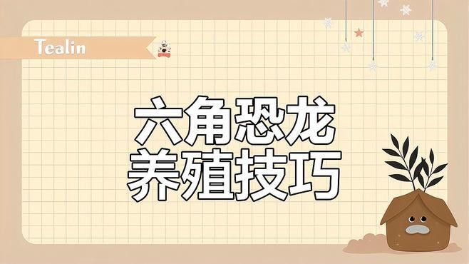 如何為六角恐龍提供一個適宜的棲息環境？