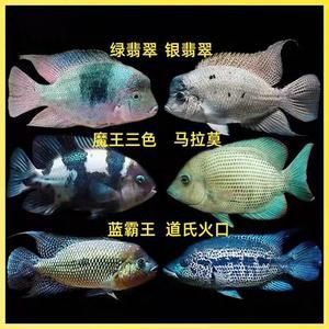 馬拉莫寶石圖片