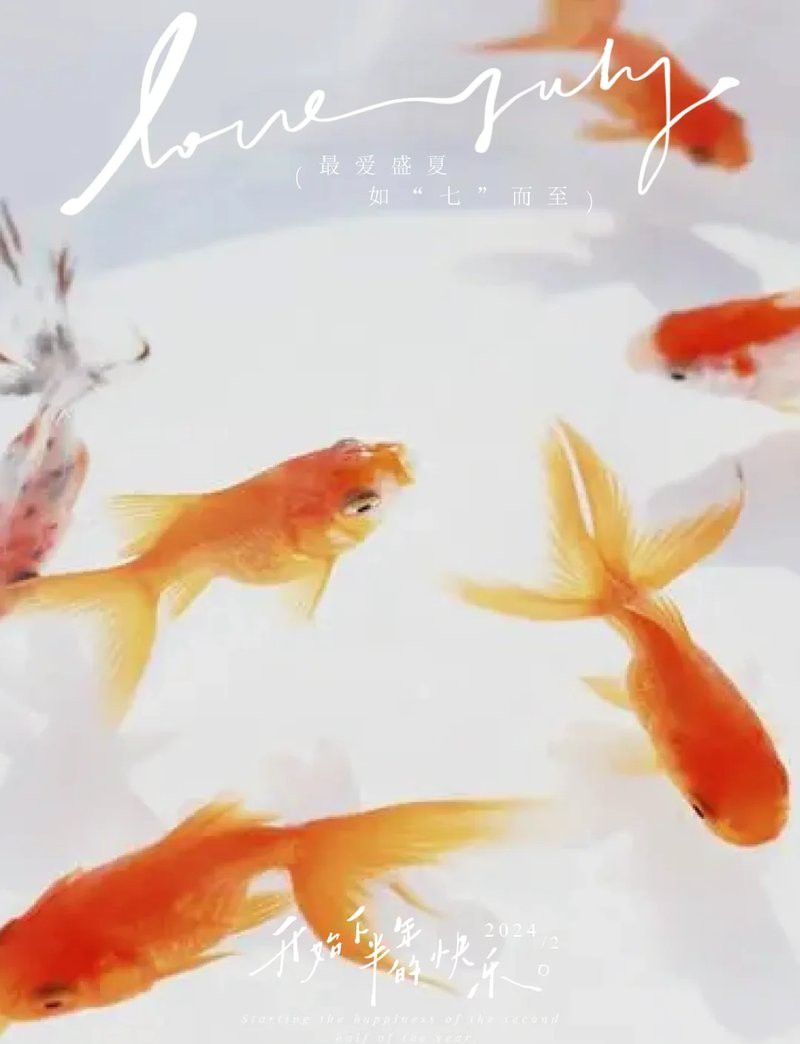 1988年屬龍人養什么魚最好？