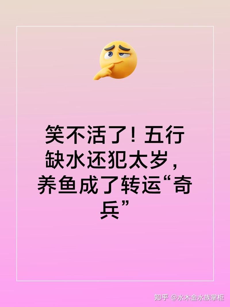 1988年屬龍人養什么魚最好？