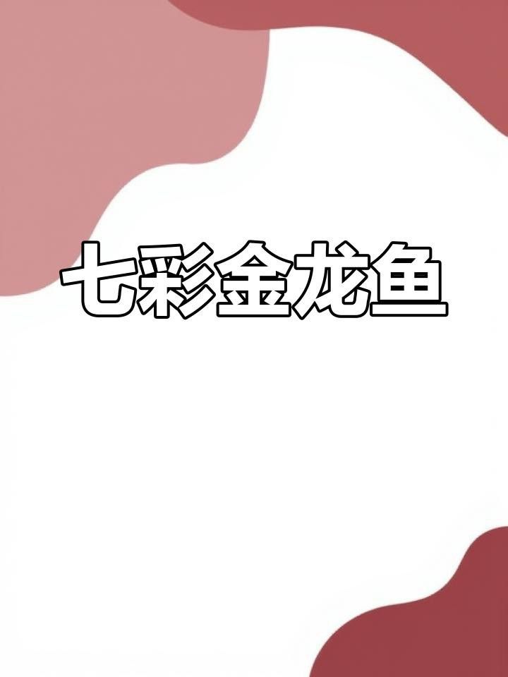 七鰭金龍魚的市場價格是多少？