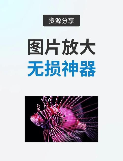 能提供高清大圖嗎？ 能提供高清大圖嗎？ 龍魚百科 第2張
