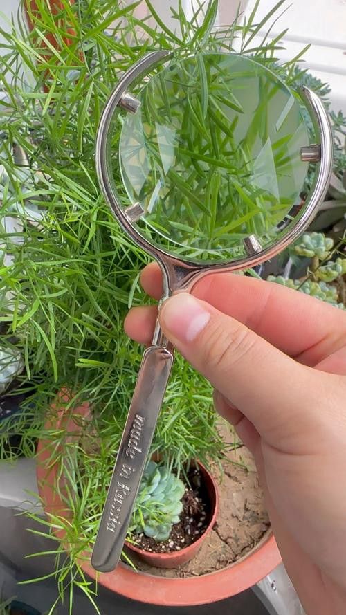 能提供高清大圖嗎？ 能提供高清大圖嗎？ 龍魚百科 第12張