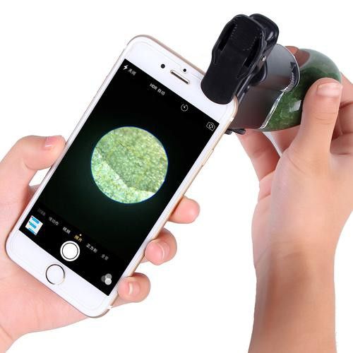 能提供高清大圖嗎？ 能提供高清大圖嗎？ 龍魚百科 第23張