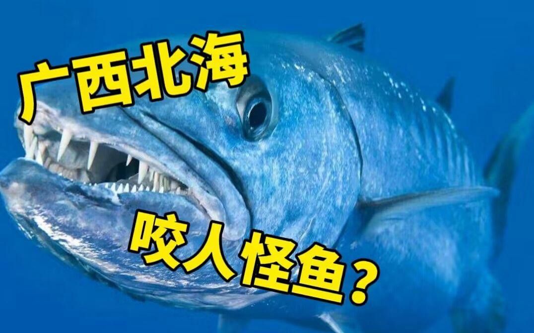 養龍魚最低水溫多少度合適：養龍魚的最低水溫多少度合適