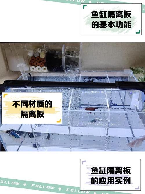 有哪些品牌隔離板值得推薦？