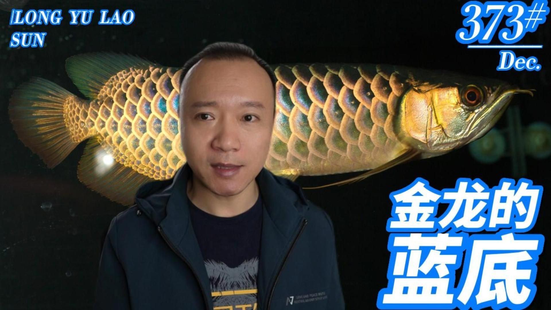 藍底金龍最簡單三個顏色