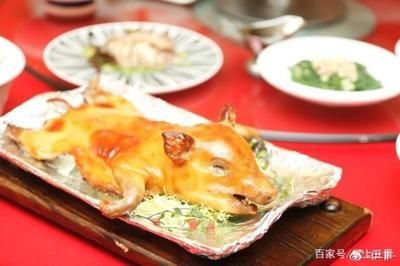 金龍魚用什么過濾器材最好：金龍魚最佳過濾材料選擇指南，金龍魚在養(yǎng)殖過程中如何選擇