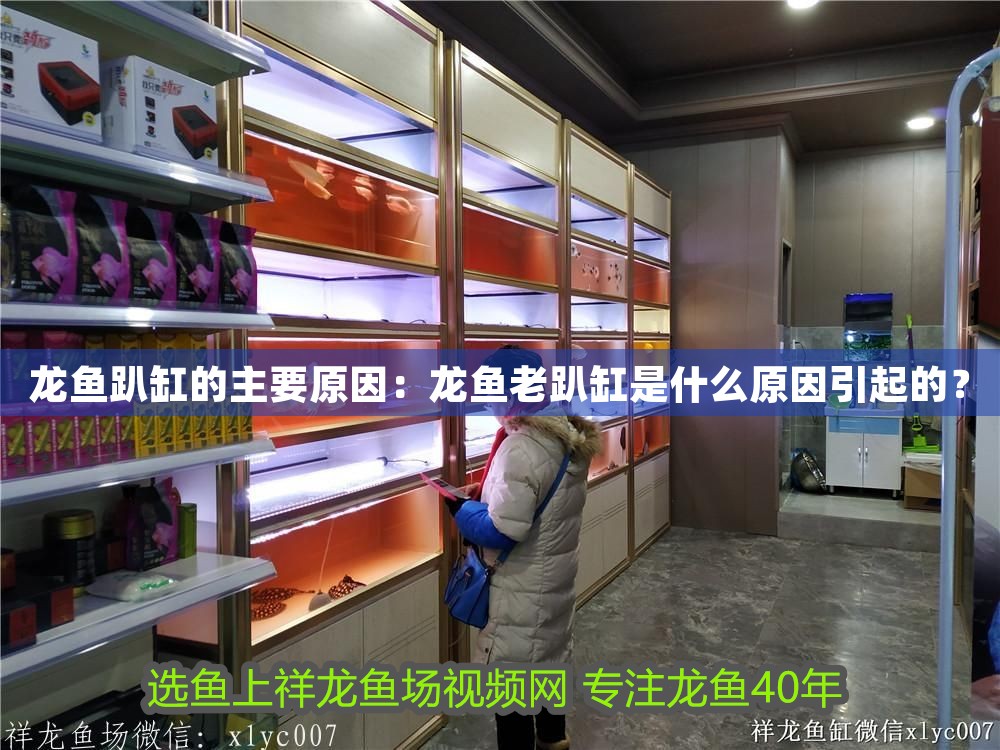 龍魚趴缸的主要原因：龍魚老趴缸是什么原因引起的？