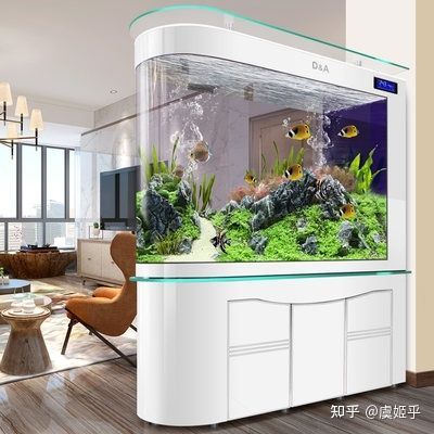 龍魚魚缸推薦哪種