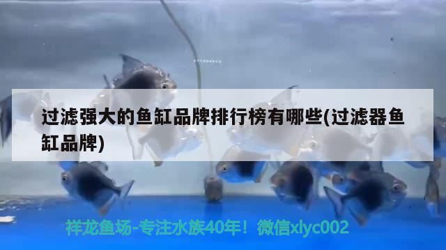 過濾強大的魚缸品牌排行榜有哪些(過濾器魚缸品牌)