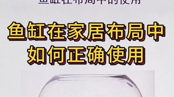沉木放魚缸哪個位置最好 沉木放魚缸哪個位置最好 龍魚百科 第7張