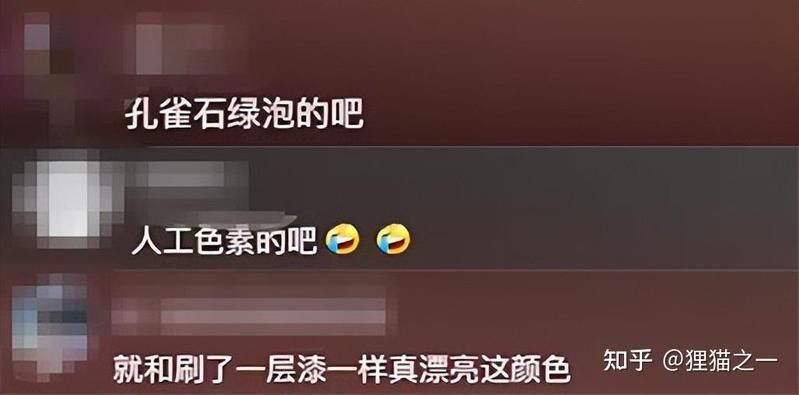青龍魚圖片大全欣賞視頻 青龍魚圖片大全欣賞視頻 龍魚百科 第1張