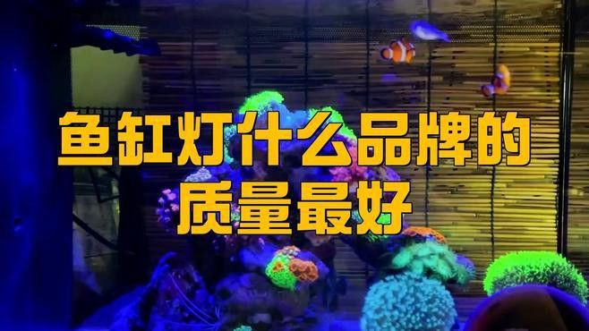 有哪些品牌魚缸照明燈口碑好