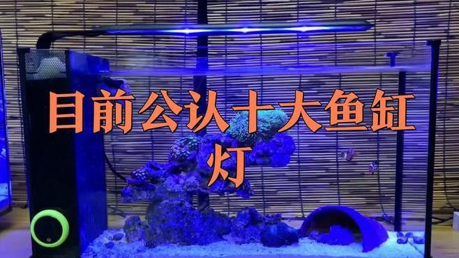 有哪些品牌魚缸照明燈口碑好