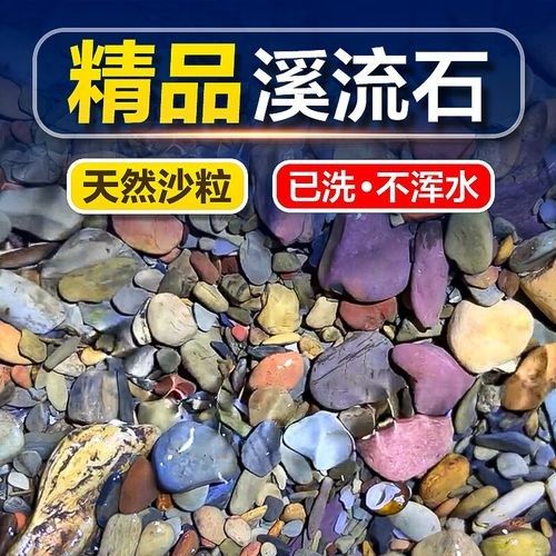 雷龍魚缸用什么底砂