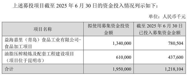 金龍魚項目好做么
