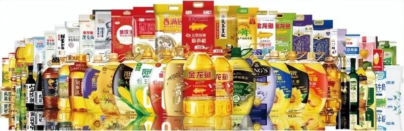 金龍魚項目好做么
